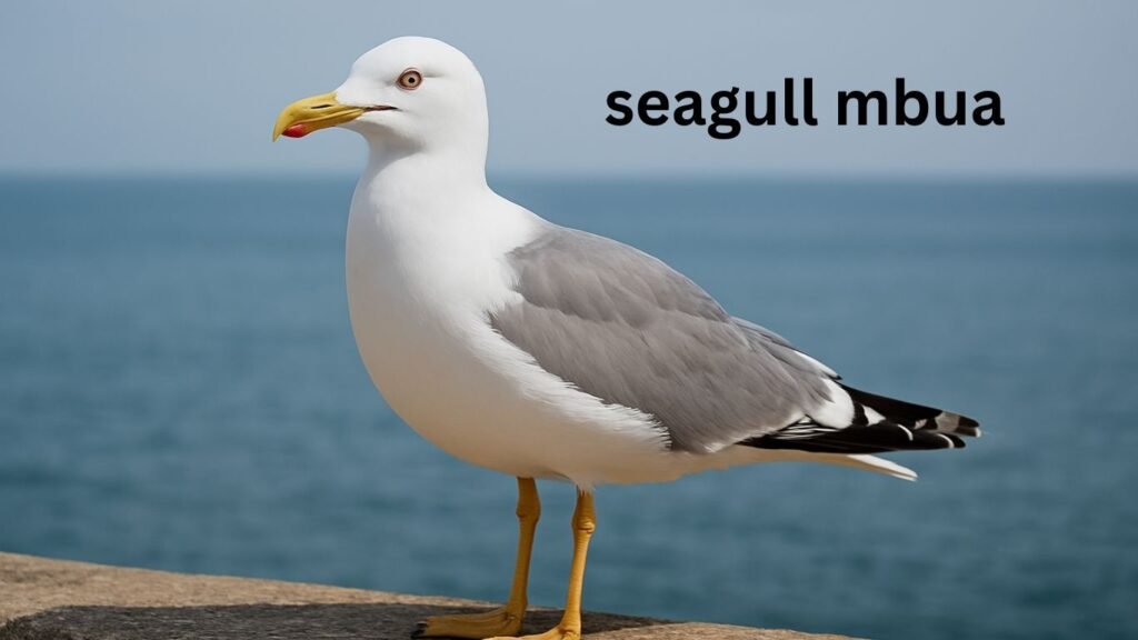 Seagol mbua
