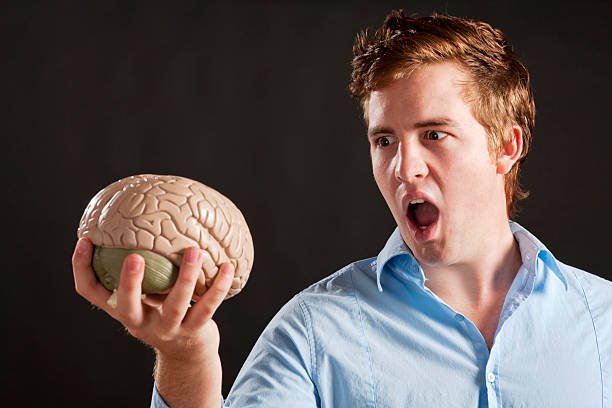 Fmybraindsout: The New-Age Platform Transforming Digital Creativity and Expression Fmybraindsout